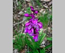 dscn3088.jpg