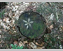 dscn3089.jpg