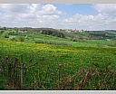 dscn3095.jpg