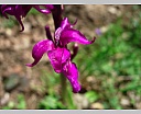 dscn3101.jpg