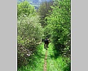 dscn3109.jpg