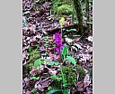 dscn3139.jpg