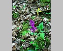 dscn3141.jpg
