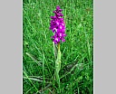 dscn3152.jpg