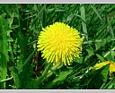 dscn3160.jpg