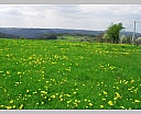dscn3163.jpg