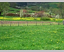 dscn3164.jpg