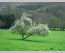 dscn3185.jpg