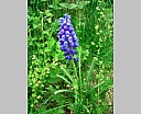 dscn3219.jpg