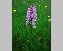 dscn3454.jpg