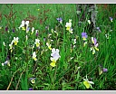 dscn3464.jpg