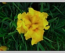 dscn3466.jpg