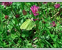 dscn3493.jpg