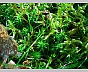 dscn3532.jpg