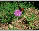 dscn3719.jpg