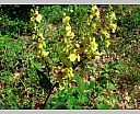 dscn3721.jpg