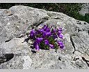 dscn3724.jpg