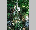dscn3726.jpg