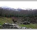 Pour agrandir cliquer sur la vignette P1050963.jpg