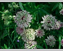 dscn3968.jpg