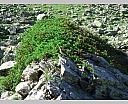 dscn3987.jpg
