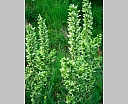 dscn3991.jpg