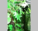 dscn3994.jpg