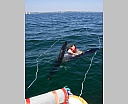 dscn4242.jpg