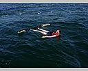 dscn4251.jpg