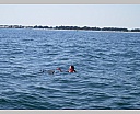 dscn4253.jpg