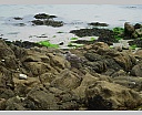 dscn4264.jpg