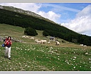 dscn4324.jpg