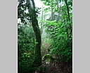 dscn4349.jpg