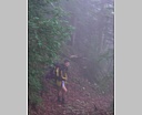 dscn4351.jpg