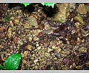 dscn4352.jpg