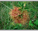 dscn4360.jpg