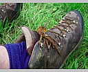 dscn4361.jpg