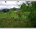 dscn4363.jpg