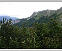 dscn4369.jpg