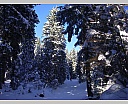 dscn5337.jpg