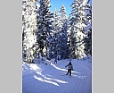 dscn5339.jpg