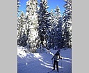 dscn5340.jpg