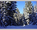 dscn5341.jpg