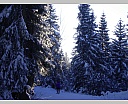 dscn5344.jpg