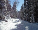 dscn5347.MOV