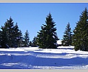 dscn5357.jpg