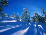 neige bleue
