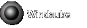 Windaube