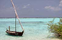 Meerufenfushi,Maldives,Alain Diveu