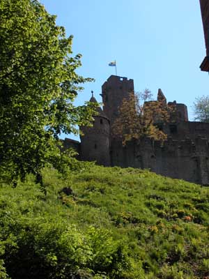 Another castle (Wertheim)